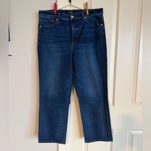 Express Dark Blue Straight Leg Jeans